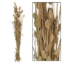 Clearance Droogbloem Manerba wit Kunstbloemen