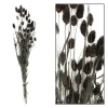 Outlet Droogbloem Manerba zwart Kunstbloemen