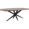 Clearance Eettafel Mascaro 250x128 cm Deens ovaal dark mango Woonseries|Eettafel