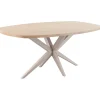 Eettafel Mascaro 250x128 cm Deens ovaal misty oak Woonseries|Eettafel