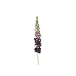 Discount Kunstbloem Abriolia eremurus S paars Kunstbloemen