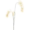 Kunstbloem Varenzo eremurus beige Kunstbloemen