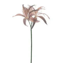 Online Kunstbloem Varenzo hoya lelie bruin Kunstbloemen