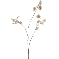 Best Kunstbloem Varenzo judaspenning M bruin Kunstbloemen