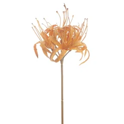 Clearance Kunstbloem Varenzo nerine L bruin Kunstbloemen