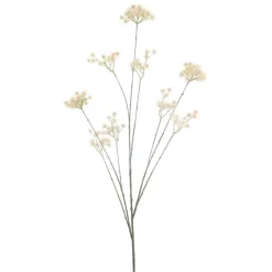 Best Kunstbloem Varenzo wilde peen beige Kunstbloemen