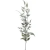 Kunsttak Varenzo ruscus blad grijs Kunstbloemen